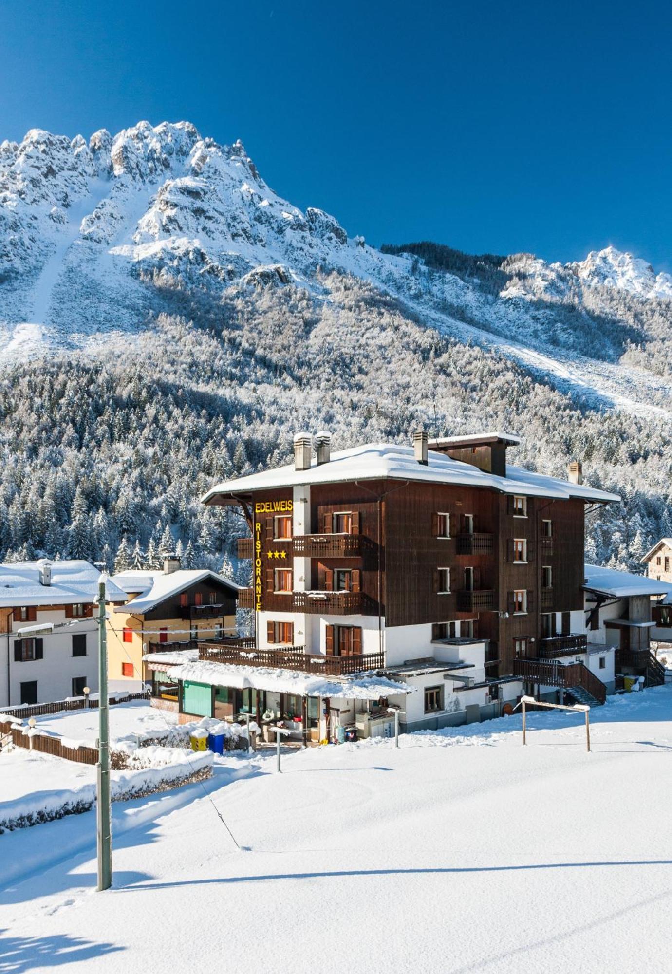 Hotel Edelweiss Con Ristorante Note Di Gusto Forni di Sopra Exterior foto
